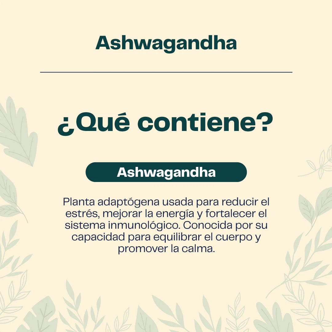 🌿 Triple Pack Equilibrio Total – Ashwagandha + Melena de Leon + Reishi 🧠