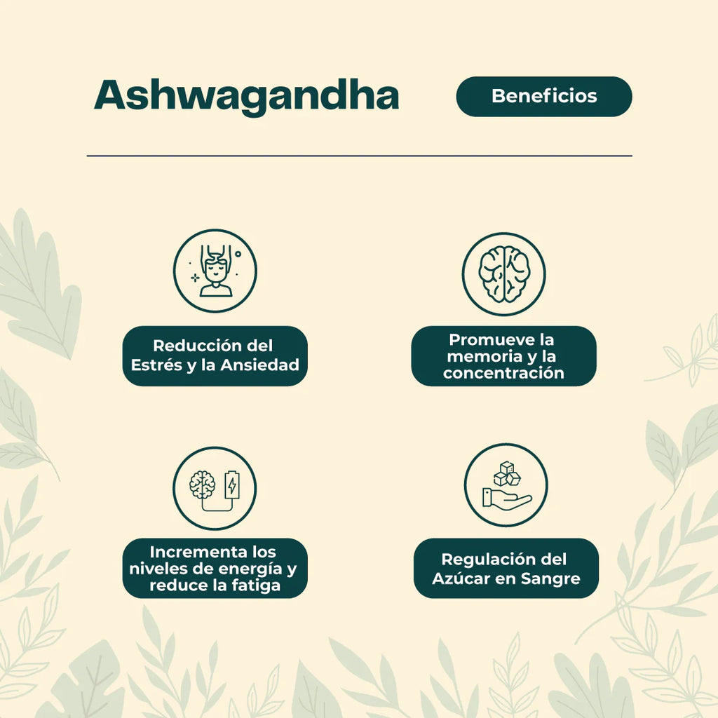 🌿 Triple Pack Equilibrio Total – Ashwagandha + Melena de Leon + Reishi 🧠