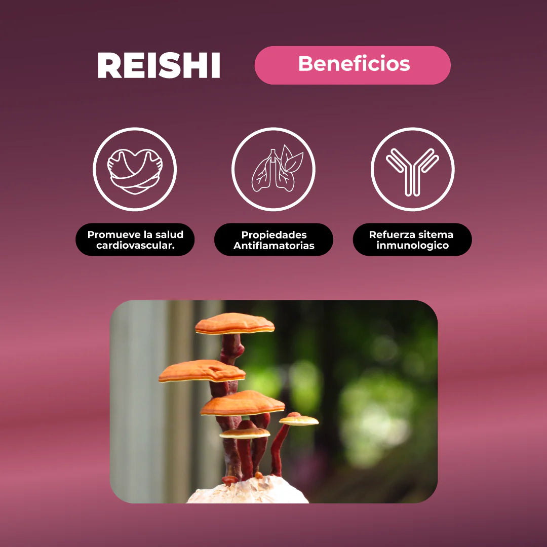 Pack Dormir Bien: Reishi + Creatina Monohidratada