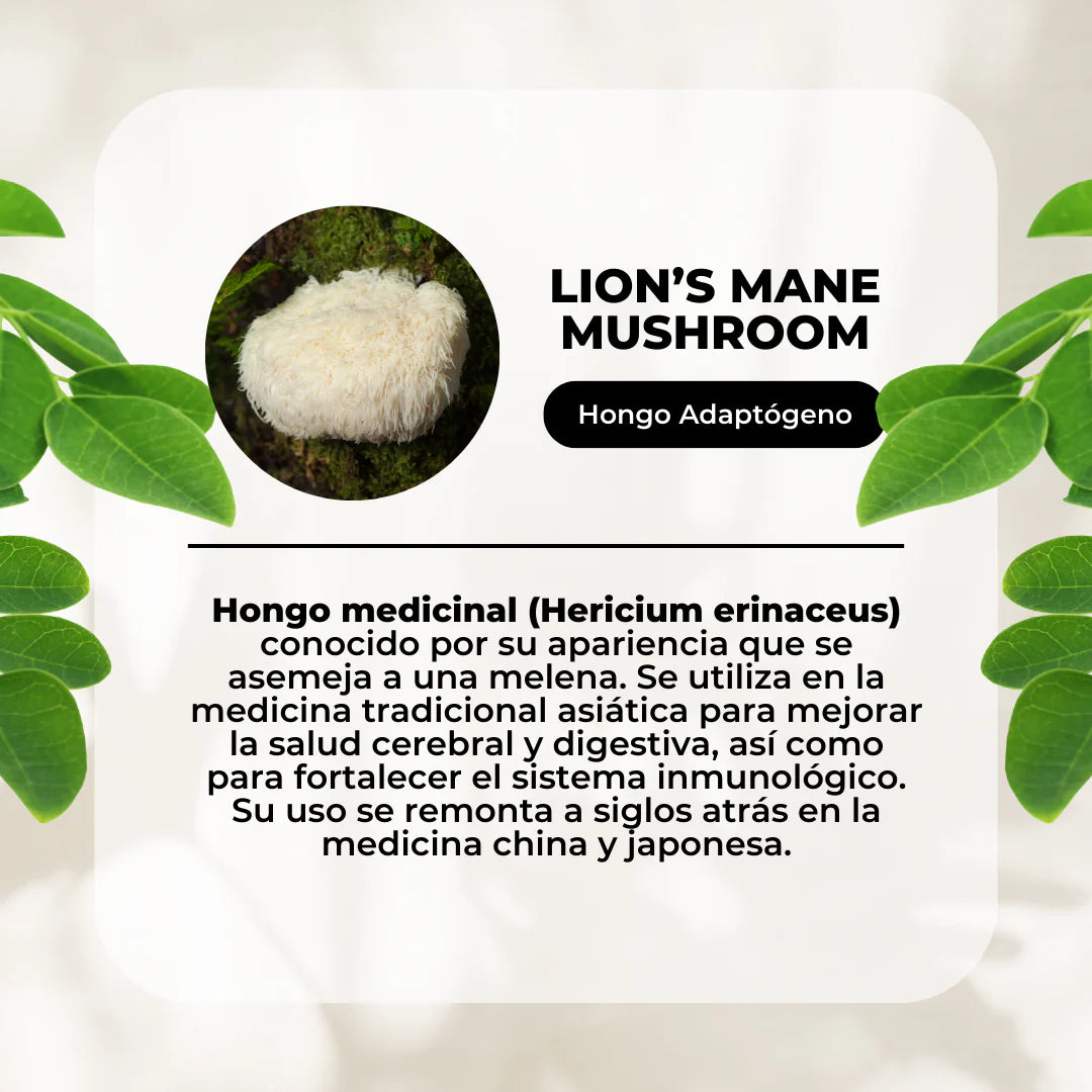 Pack Equilibrio Mental y Bienestar - Melena De León + Reishi