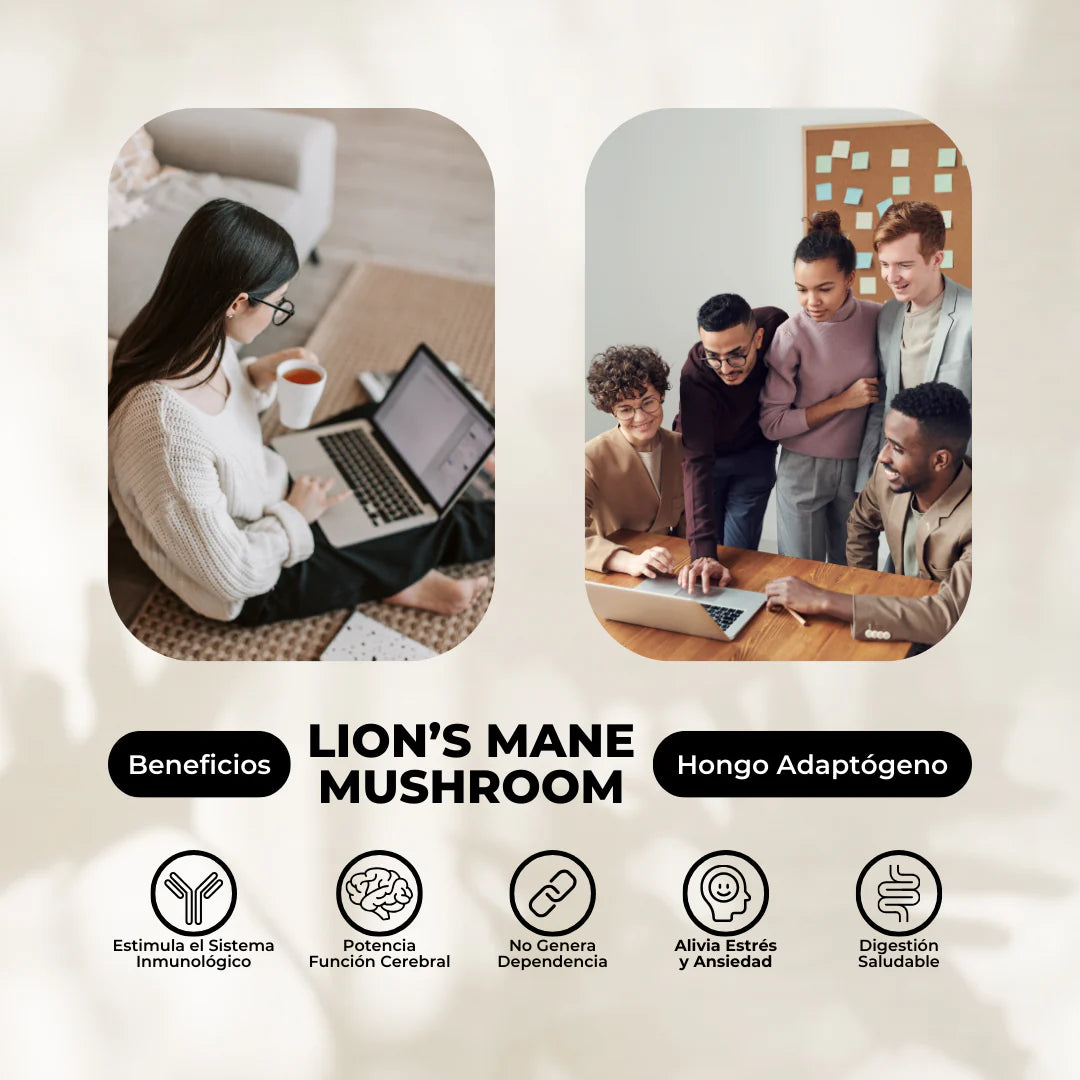 Pack Equilibrio Mental y Bienestar - Melena De León + Reishi