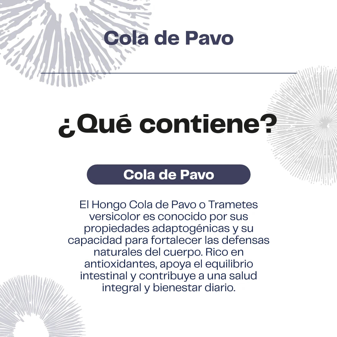 Hongo Cola de Pavo 60 Cápsulas - Imnunidad y Equilibrio natural