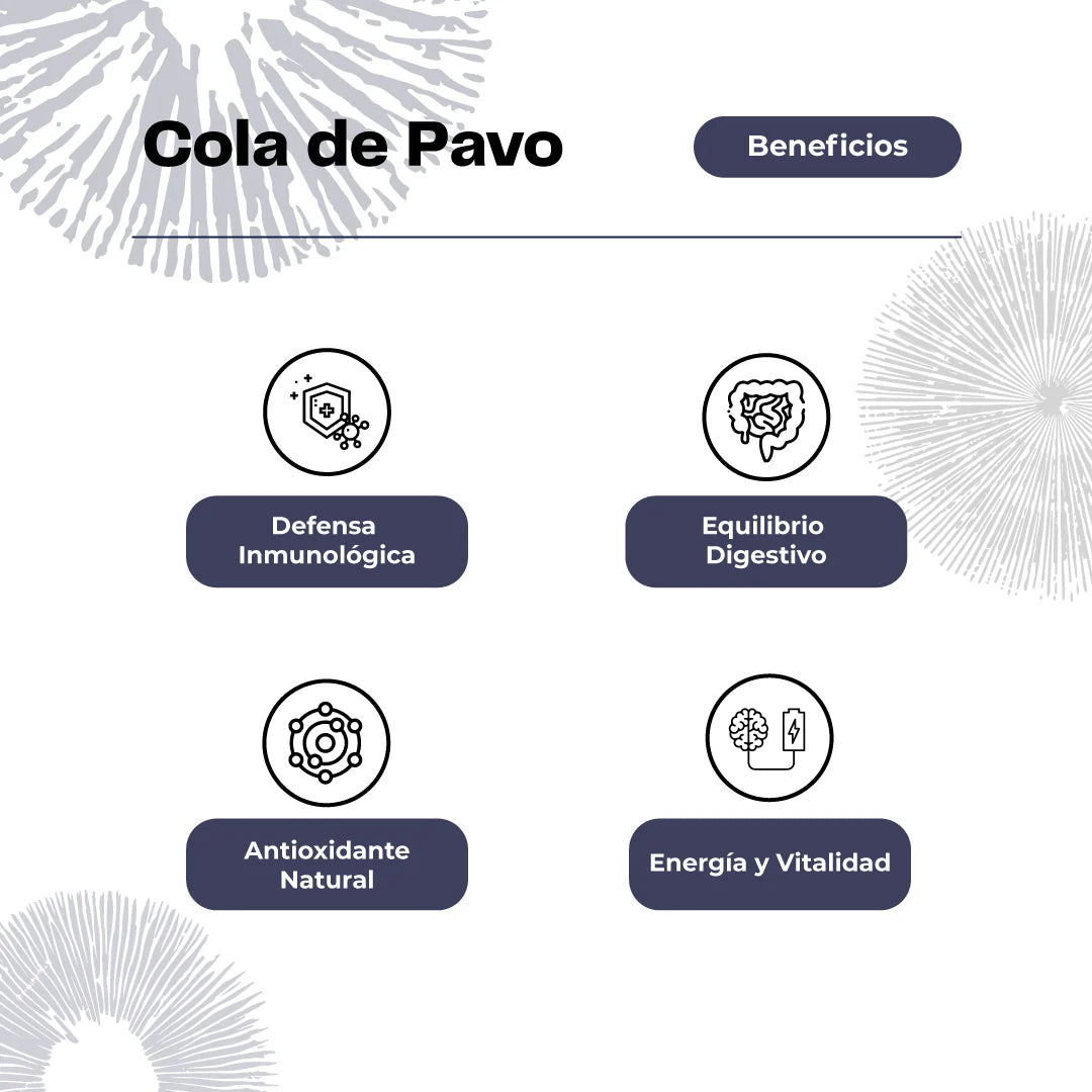 Hongo Cola de Pavo 60 Cápsulas - Imnunidad y Equilibrio natural